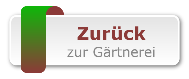 Zurück